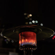 Load image into Gallery viewer, Commercial Standard Heater Stainless Steel